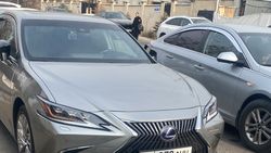 Два «Лексуса» стоят у «зебры». Фото