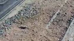 В Бостери арыки засыпаны землей. Видео жителя