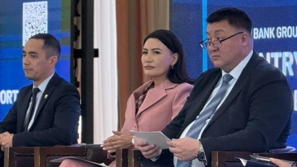 Private sector involvement is essential for Kyrgyzstan's green transition - Chamber of Commerce