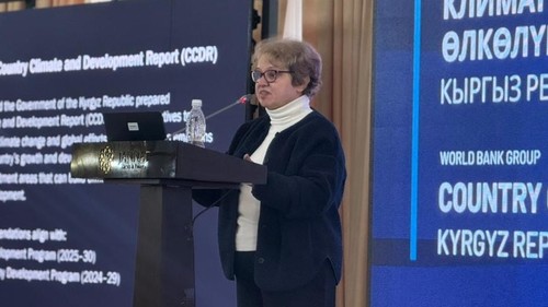 страновой доклад