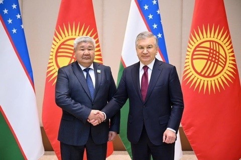 What Insights Did Uzbekistan's President Mirziyoyev Share on Kambar-Ata HPP-1 with Minister Ibrayev?