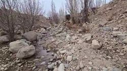 Русло речки на Иссык-Куле превращается в место свалки мусора. Видео жителя