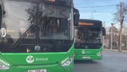 Водителя автобуса №50 оштрафовали за поворот со второй полосы, - мэрия