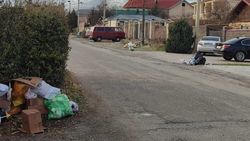 На некоторых улицах Арча-Бешика не убрали мусор. Фото