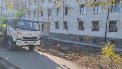 Законно ли спилили деревья на территории Академии наук? Ответ мэрии