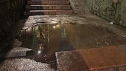 Горожанин жалуется на состояние подземки на Южный воротах. Фото