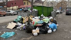 Житель центральной части Бишкека пожаловался на переполненные мусорные контейнеры
