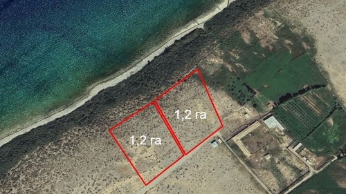 Джети-Огузская прокуратура выявила незаконную передачу 2,4 га сельхозземель