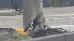 На пересечении улиц Фрунзе и Исанова столб находится в аварийном состоянии. Фото