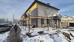 Законно ли срубили ели на Л.Толстого? - горожанин