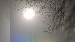 Бишкек накрыл густой туман