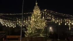 Новогодние елки в Бишкеке. Видео и фото горожан Новогодние елки в Бишкеке. Видео и фото горожан