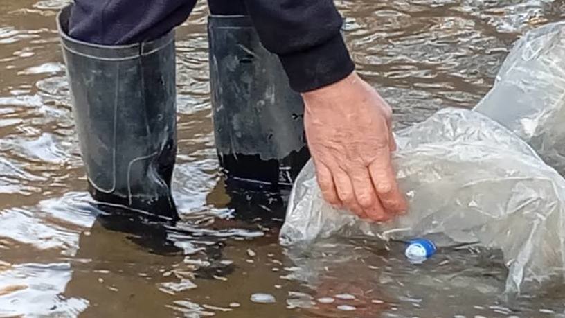 Иллюстративное фото