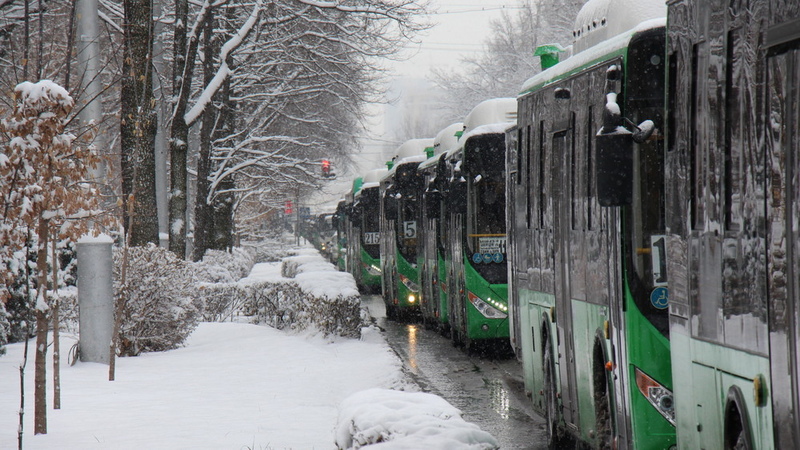 Bishkek mayor's office proposes free public transport fare for military pensioners