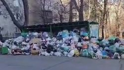 Переполненные мусорные баки по улице Айтиева в 6-микрорайоне. Видео