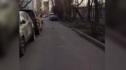 На Геологическом переулке нет тротуара, - горожанин