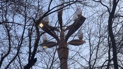 Фонари освещения на проспекте Айтматова работают днём, - горожанин