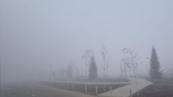 Сильный туман в Бишкеке. Фото