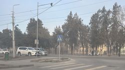 Lexus GX460 припарковали перед «зеброй». Фото