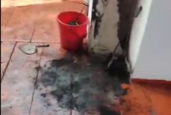 На Иссык-Куле обокрали православную церковь и сожгли ёлку. Видео