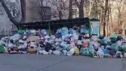 «Тазалык» вывез мусор в 6 мкр, - мэрия