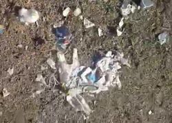 Горожанин жалуется на мусор у входа в природный парк Ала-Арча. Видео