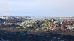 Житель просит закрыть мусорный полигон в селе Александровка