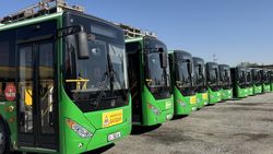 Горожанин интересуется, почему не выходит на линию автобус №159