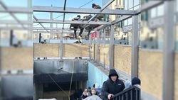 При строительстве подземного перехода проекта Old Bishkek не обеспечена безопасность граждан, - горожанин