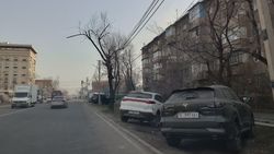 Машины припаркованы на газоне между тротуаром и проезжей частью