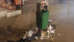 Житель столицы просит поставить в городе больше мусорных урн и освобождать их по заполнению