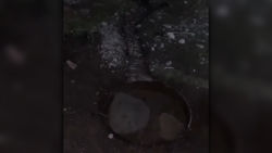 В селе Александровка больше месяца не решается вопрос с утечкой из водопровода. Видео жителя