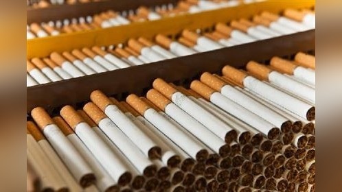 Gross tobacco production output totals 28.3 million soms in 11 months