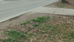 На улице 7 Апреля на земле лежит кабель