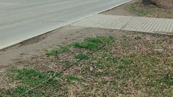 Дано поручение интернет-провайдерам восстановить кабель, лежавший на улице 7 апреля