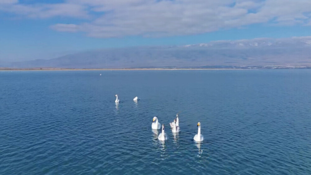 Иллюстративное фото