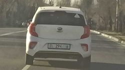 На улице Л.Толстого у машины скрыты буквы госномера