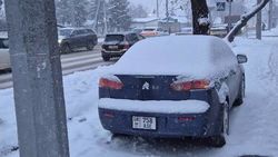 На улице Л.Толстого машина припаркована в зелёной зоне