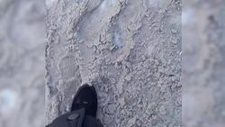 Территория Орто-Сайского рынка не относится к зоне обслуживания МП «Тазалык», - ответ мэрии