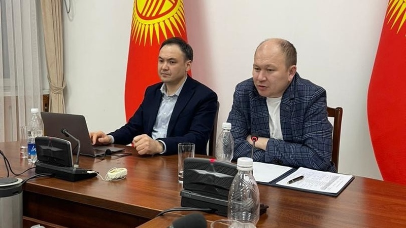 Ministry of Health discusses cooperation with Kyrgyz doctors working abroad