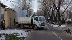 Утром на Айтматова вырубили дерево. Законно ли? - горожанин