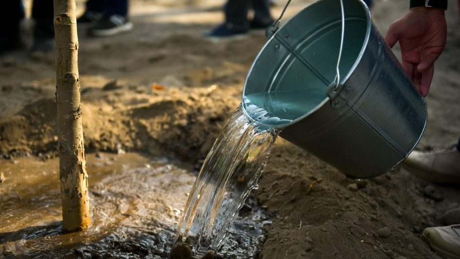 Иллюстративное фото