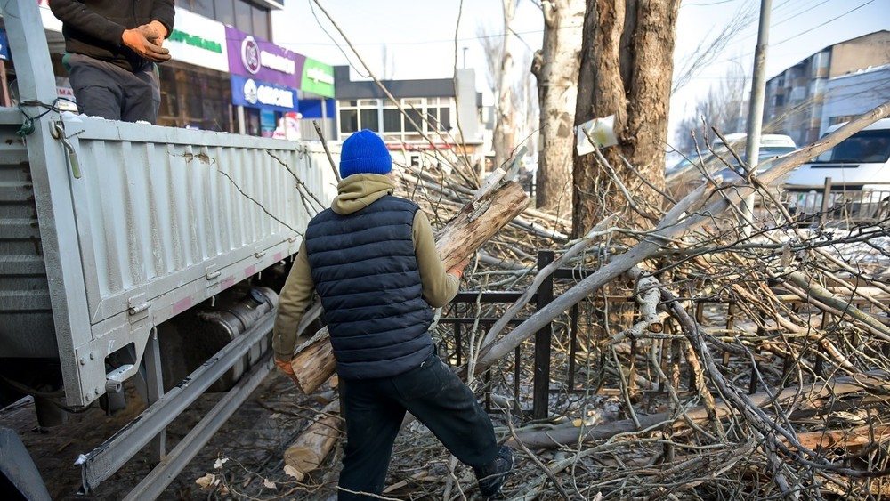 Иллюстративное фото