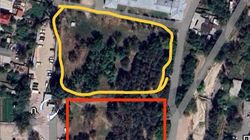 Житель просит обратить внимание на городской лес по улице Жибек-Жолу и старое кладбище