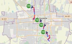 Горожанка интересуется, почему стало меньше автобусов №195