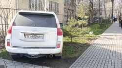 На улице Токтогула Lexus припаркован на газоне