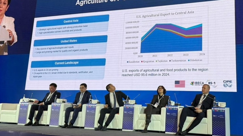 Central Asian intraregional trade valued at $11 billion amid efforts to harmonize standards