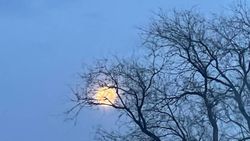 «На границе ночи и утра»: Житель поделился кадрами восхода солнца и захода луны