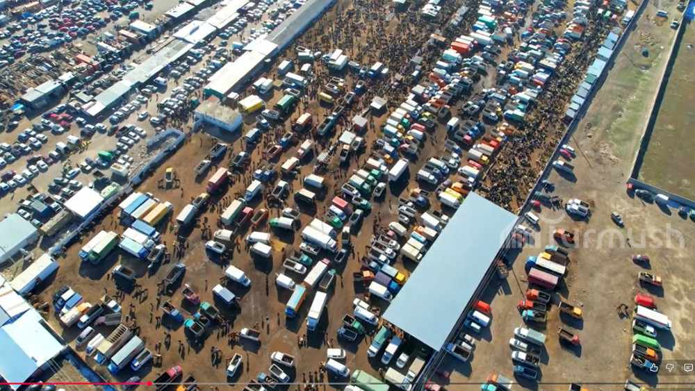 Скотный рынок в городе Токмок