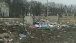 Напротив школы в селе Садовое гора мусора и навоза, - житель 